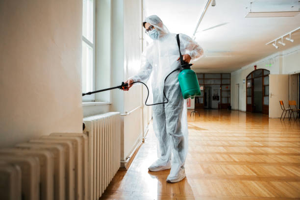 Professional Pest Control in Cape Charles, VA